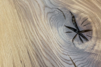 Tischplatte Eiche massiv nach Maß rustikal geölt Risse und Astlöcher Natur